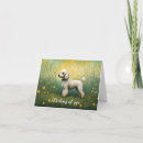 Recherche de caniche jouet vœux cartes Miniature