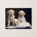 Recherche de laboratoire puzzles Animaux familiers