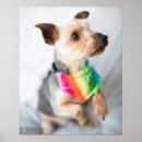 Suche nach equality poster Gay