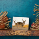 Suche nach geweihe haustier fotoplatten Texas