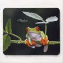 Recherche de grenouille électronique Cool