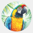 Recherche de macaw autocollants Exotique