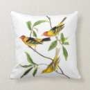 Recherche de james coussins Audubon