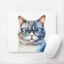 Recherche de chats gris tapis souris Tabby