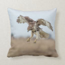 Suche nach falken kissen Raubvogel