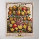 Recherche de douze mois posters Pieter