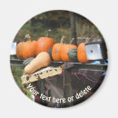 Suche nach pumpen magnete Rückgang