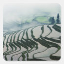 Recherche de champ agricole autocollants Agriculture