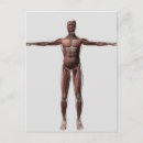 Suche nach menschlicher arm poster postkarten Menschliche arme