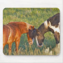 Suche nach wildes pferd mousepads Farm