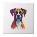 Recherche de boxer carreaux Loup