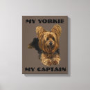 Suche nach yorkie leinwandbilder Yorkshire terrier