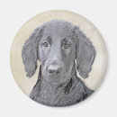 Recherche de extracteur magnets Dog