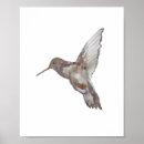 Suche nach hummingbird poster Tiere