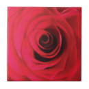 Recherche de bourgeon de rose rouge Aquarelle