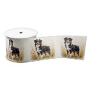 Recherche de chien berger australien rubans Animaux