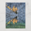 Suche nach wildnis postkarten Landschaft