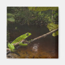 Suche nach riesen magnete Frosch