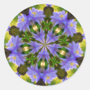Suche nach clematis aufkleber Blume
