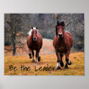 Recherche de étalon sauvage posters Chevaux sauvages