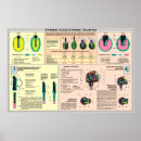 Suche nach soviet union poster War