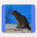 Suche nach fenster mousepads Katze