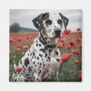 Suche nach spots magnete Niedlich