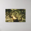 Suche nach maui leinwandbilder Natur