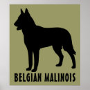 Recherche de chien de berger belge posters Animal