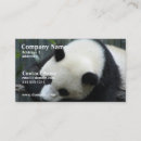 Recherche de ours panda cartes visite Animal