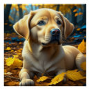 Suche nach hündchen poster Süß