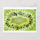 Recherche de kiwis cartes postales Fruit