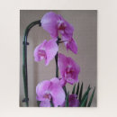 Suche nach orchid puzzle Pflanze