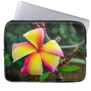 Suche nach plumeria laptop schutzhüllen Frangipani