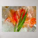 Recherche de gladioli posters Fleur