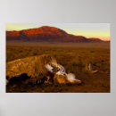 Suche nach kuh poster Knochen