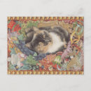 Recherche de chats espiègles cartes postales Chat espiègle