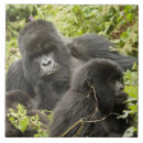 Suche nach mcdonalds fliesen Mary ann mcdonald