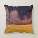 Suche nach fälle kissen Fotografie