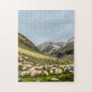 Recherche de troupeau des moutons puzzles Paysage