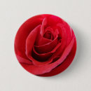 Suche nach blumenblatt buttons Rot