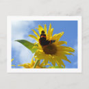 Recherche de rouge jaune cartes postales Tournesol