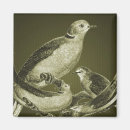 Recherche de ornithologie magnets Animal