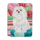 Recherche de les animaux domestiques magnets Animal