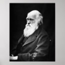 Suche nach charles darwin poster Evolution
