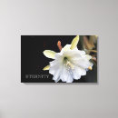 Suche nach freundschafts leinwandbilder Foto