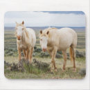 Suche nach wildes pferd mousepads Wildpferd