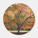 Recherche de premier halloween magnets Feuilles