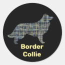 Recherche de collie dog autocollants Collier