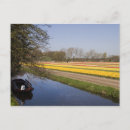 Suche nach polland postkarten Blume